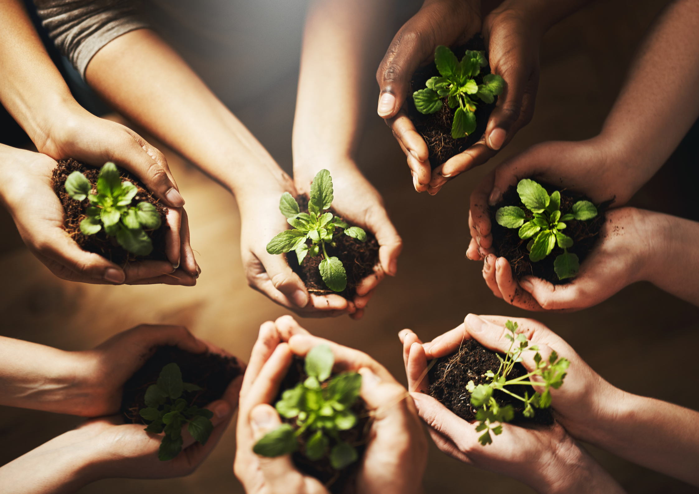 Le pouvoir des récits